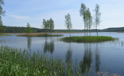 28_Juodlės pažintinio tako paukščių stebėjimo vieta 1.jpg